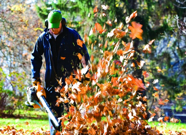 Cleveland Landscaping Fall Clean Up Tips
