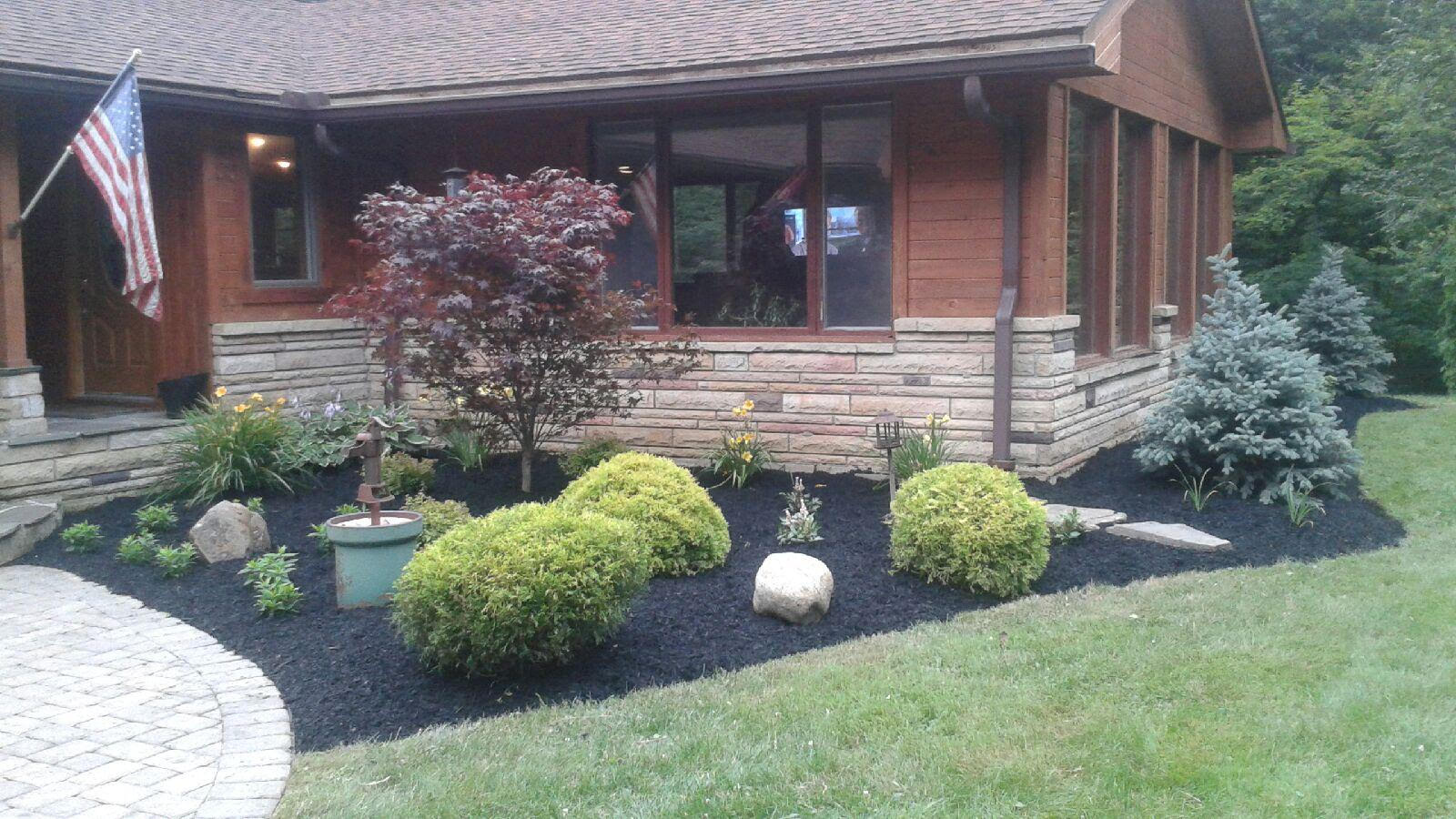 Mid-Summer Landscape Pruning of Trees and Shrubs in Northeast Ohio
