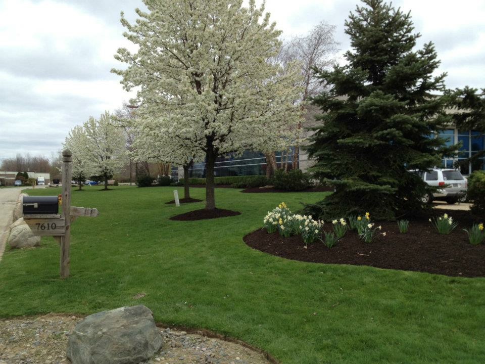 H&M Landscaping Maintenance Mulching Clean-up in Cleveland