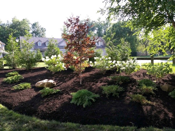 Landscaping Team Workers in the Cleveland Area
