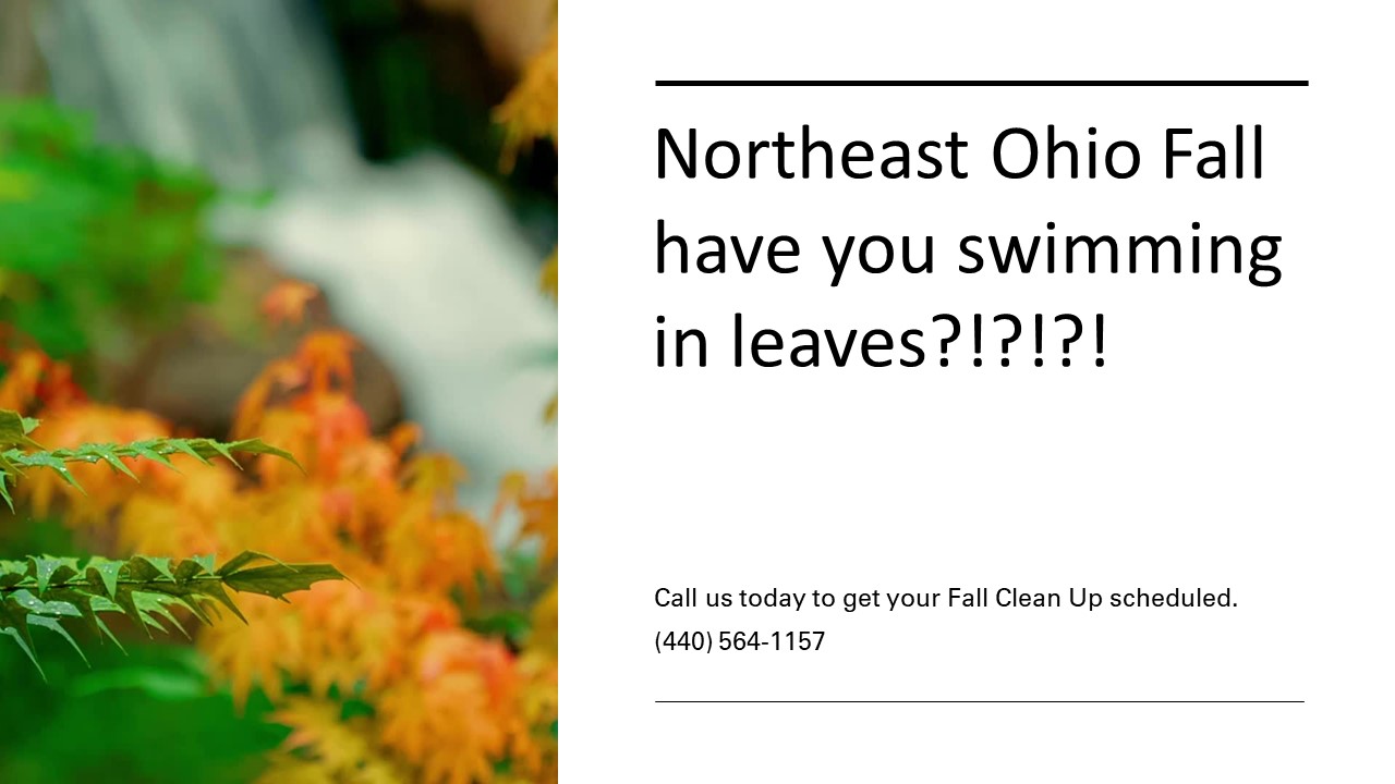 Northeast Ohio Landscaping Fall Leaf Clean-Ups