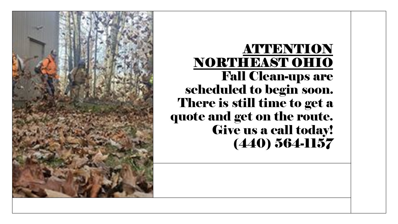 Cleveland Area Landscapers Are Scheduling Fall Clean-Ups in Northeast Ohio