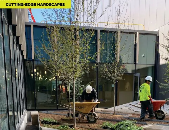 Cleveland Area Landscape Planning for Hardscapes in Northeast Ohio