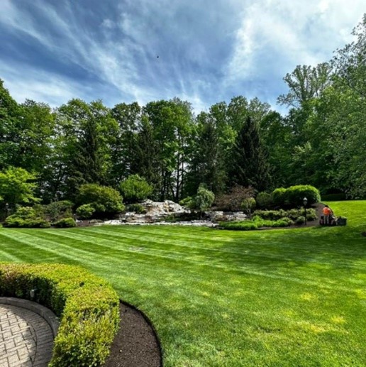 Cleveland Area Landscaping Spring Fertilizer Timing Tips