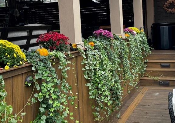 Cleveland Area Landscaping Company Spring Flower Tips
