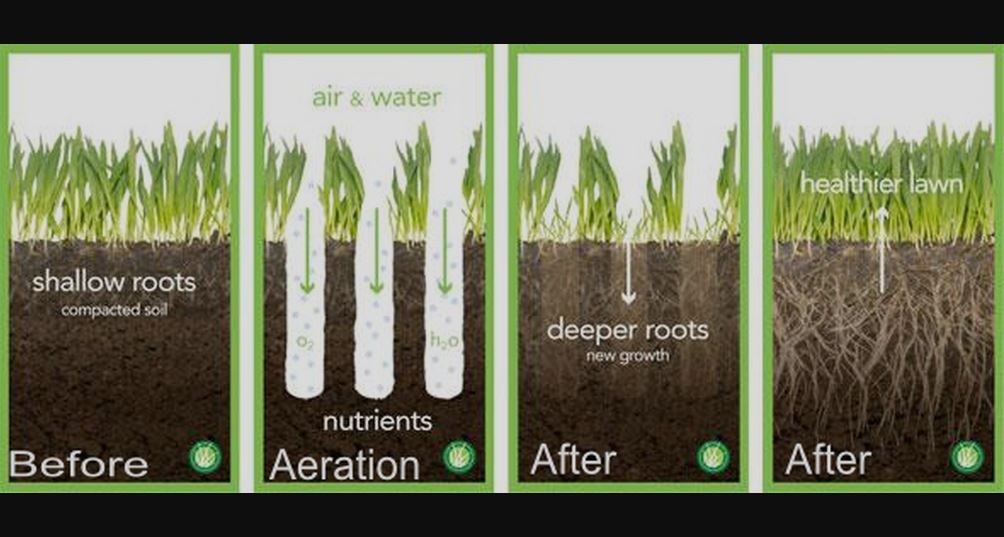 Cleveland Area Landscape Lawn Aeration Tips for Northeast Ohio