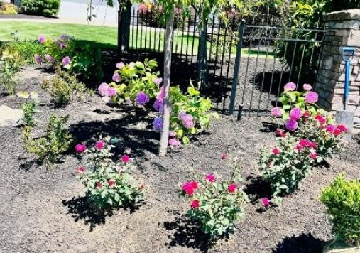 Cleveland Area Landscaping Tips for a Healthy Lawn in Northeast Ohio