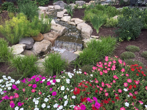 Cleveland Area Landscape with Spring Flowers