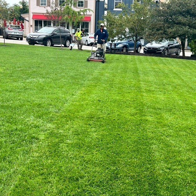 Cleveland Area Landscape Tips for Cold Weather in Northeast Ohio
