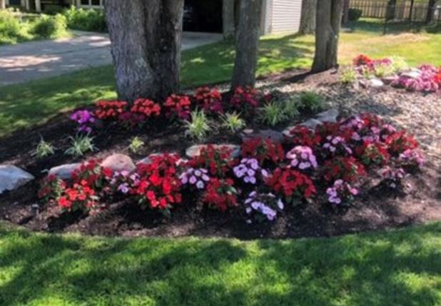 Cleveland Area Landscaping Color Enhancements for your Property