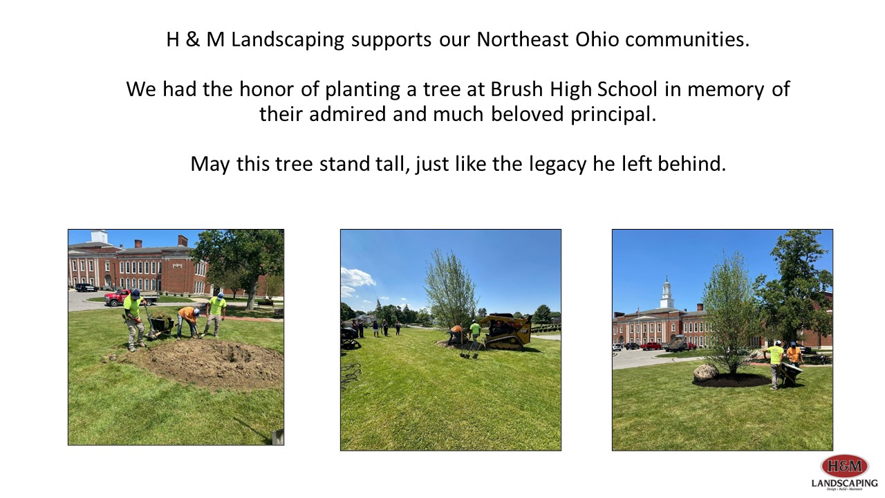 Cleveland Area Landscaping Company Helps Our Community Plant Tree