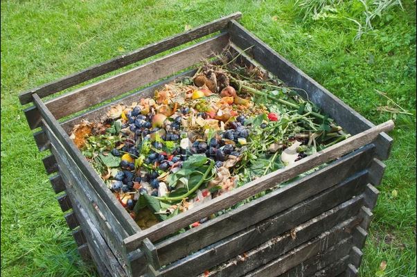 Cleveland Area Composting Tips to Tidy Up Your Landscape