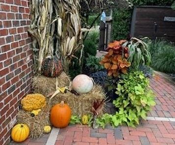 Cleveland Area Landscaping Fall Yard Decor for Northeast Ohio