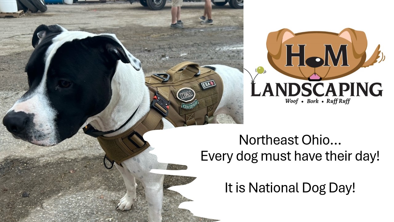 Cleveland Area Landscaping Company Celebrates National Dog Day in Northeast Ohio