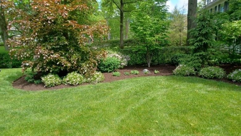 Cleveland Area Landscaping Hacks for Yards in Northeast Ohio