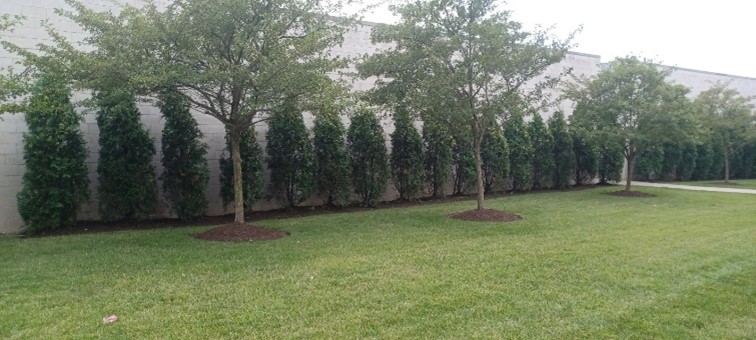 Cleveland Area Landscaping Tips for Overseeding Lawns in Northeast Ohio