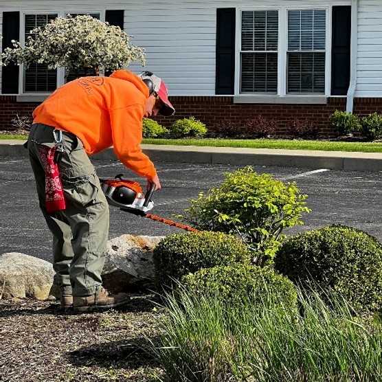 Cleveland Area Landscaping Company Offers Pruning Tips for Northeast Ohio