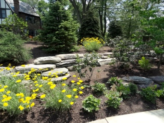 Cleveland Area Landscaping Trends for 2025