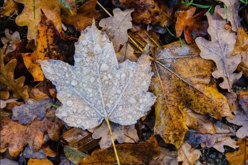 Cleveland Area Landscaping Winterization in the Fall for Northeast Ohio