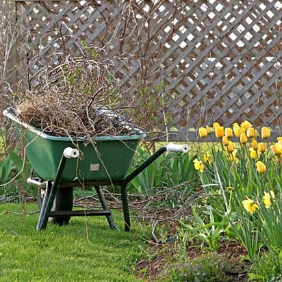 Cleveland Area Landscaping Tips for Improving Your Lawn