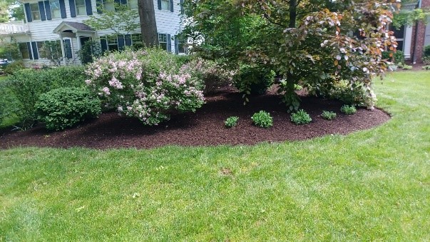 Cleveland Area Landscape Mulch Installation in Northeast Ohio