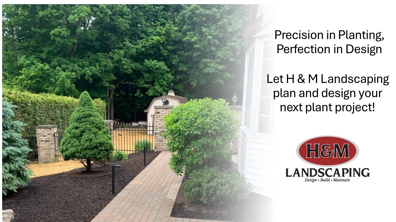 Cleveland Area Landscape Plant Design for Northeast Ohio