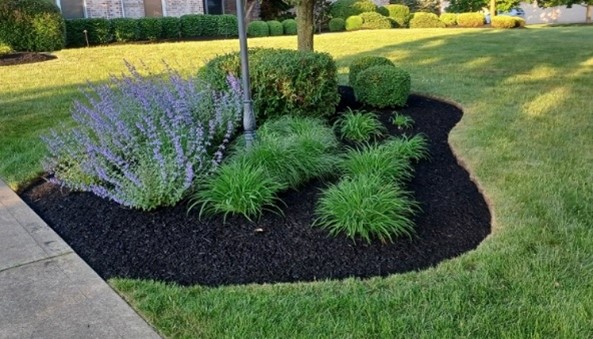 Cleveland Area Professional Landscaping Company Installs Native Plants in Northeast Ohio