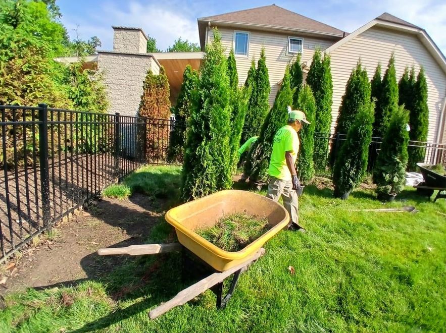 Cleveland Area Landscaping Company Spring Cleanup Tips