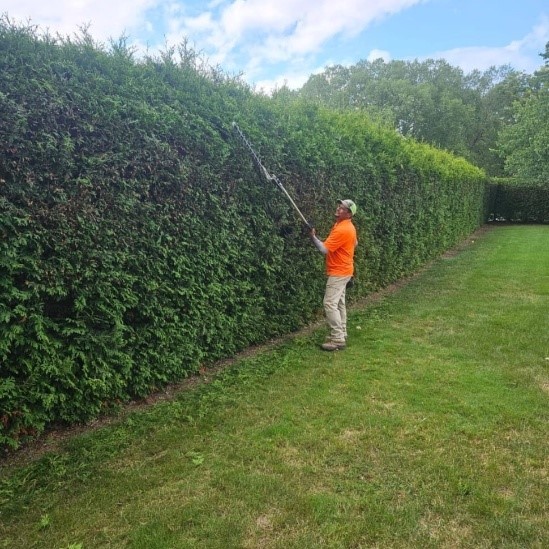 Cleveland Area Landscaping Company Spring Pruning Tips