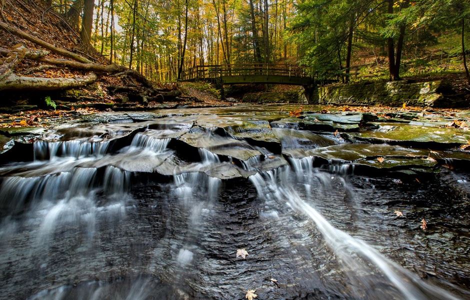 Cleveland Area Landscapes & Activities to Enjoy During the Summertime