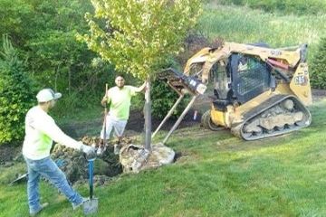 Cleveland Area Landscape Tree Installation Services for Northeast Ohio