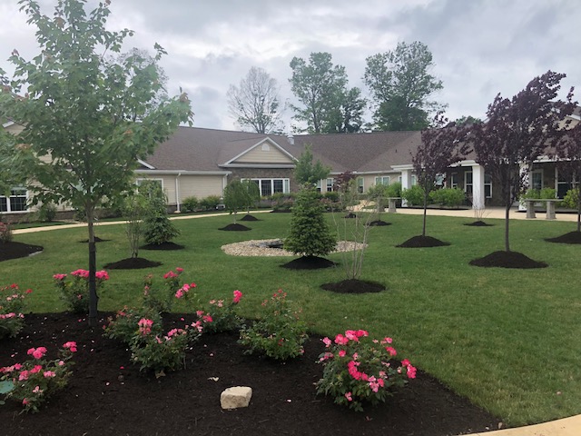 Cleveland Area Landscaping Tree and Planting Installation