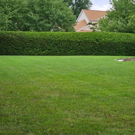 Cleveland Area Landscape Hedge Trimming Services for Northeast Ohio