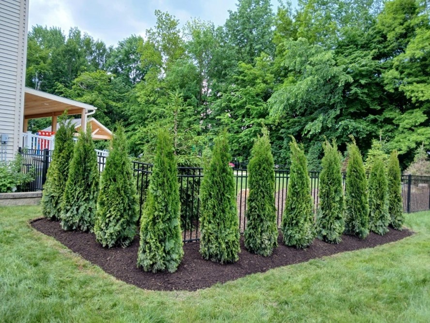 Cleveland Area Best Practices in Landscaping Yard Maintenance
