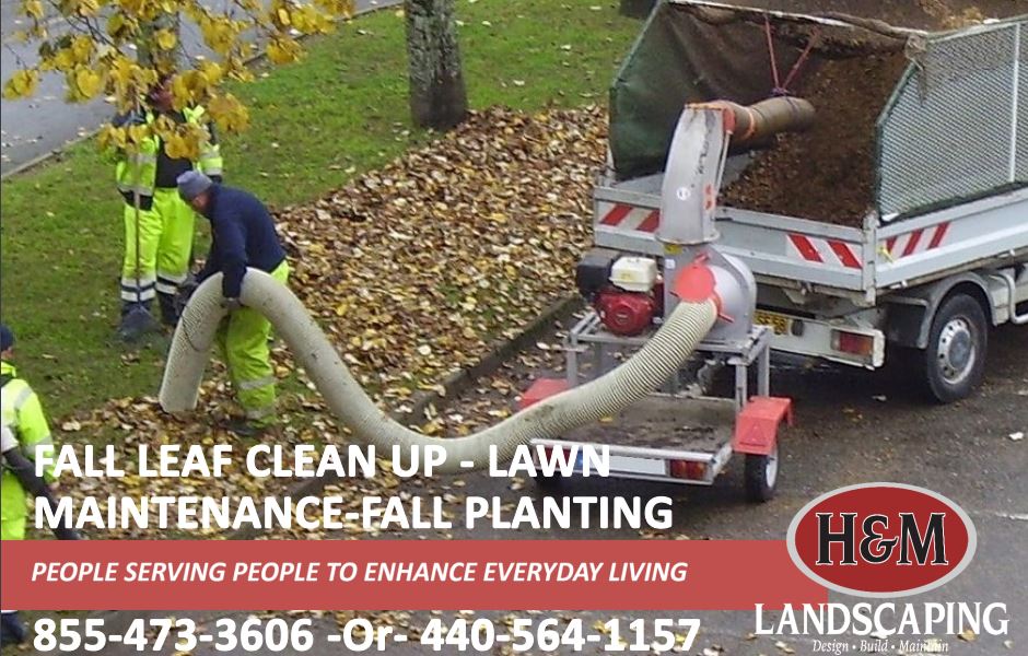 Cleveland Landscaping Fall Leaf Clean-Up