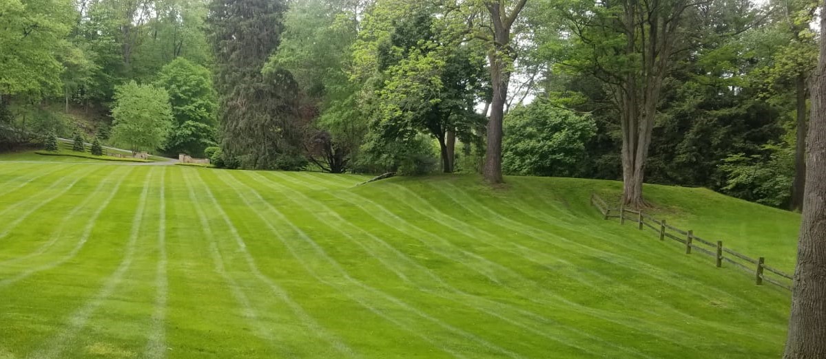 Lawn & Yard Landscape Maintenance in Cleveland Area by H&M Landscaping Company