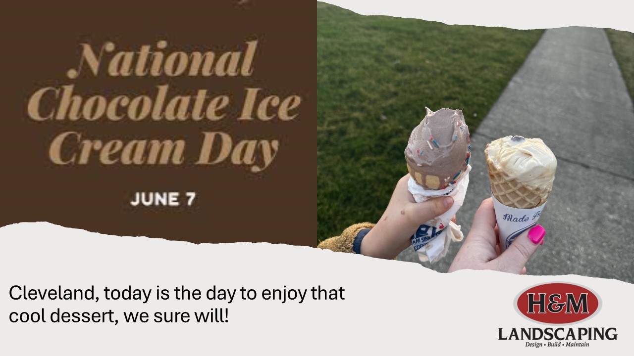 Cleveland Area Summer National Chocolate Ice Cream Day