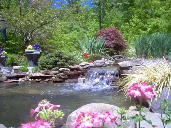 Cleveland Area Landscapers Offer Tips for Blooming Flowers in Northeast Ohio