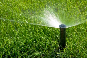 Cleveland Area Landscaping Irrigation and Landscape Lighting Services