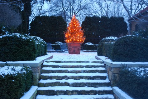 Winter Landscape Plant Preparation for Northeast Ohio