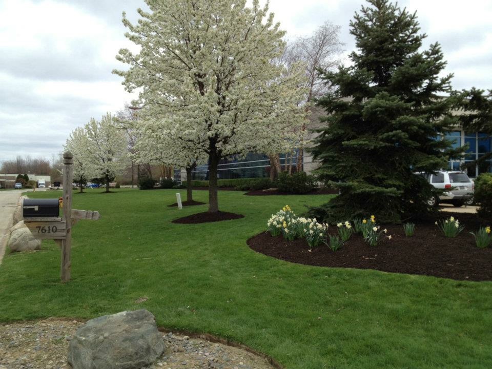 Cleveland Area Lawn Care Services for Northeast Ohio