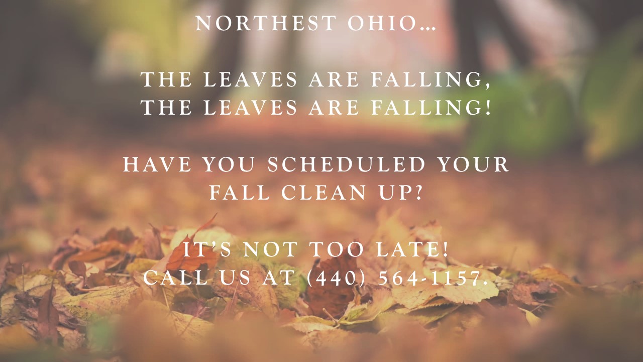 Northeast Ohio Landscape Fall Clean-up