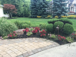 Swimming Pool Installation near Cleveland