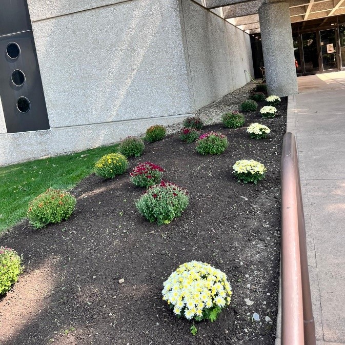 Cleveland Area Landscape Plantings for Fall in Northeast Ohio