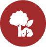 icon-landscape-maintenance