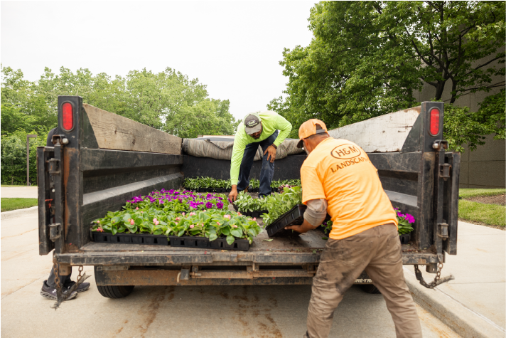 landscape-installation-planting-services-ohio H&M Landscaping crew installing flowers and plants from truck for commercial landscape construction project